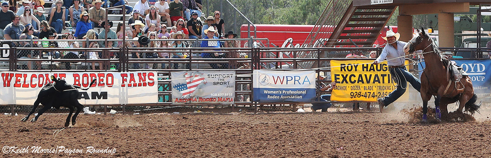 Rodeo-Tie Down w800pix